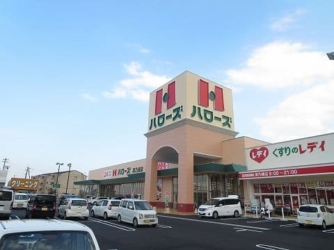ハローズ津乃峰店とくすりのレデイの外観